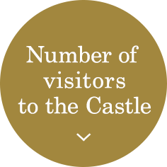 Number of visitors to the Castle