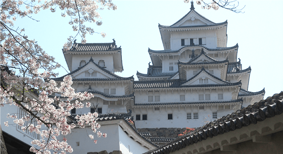 D Shogun Slope and Main Keep