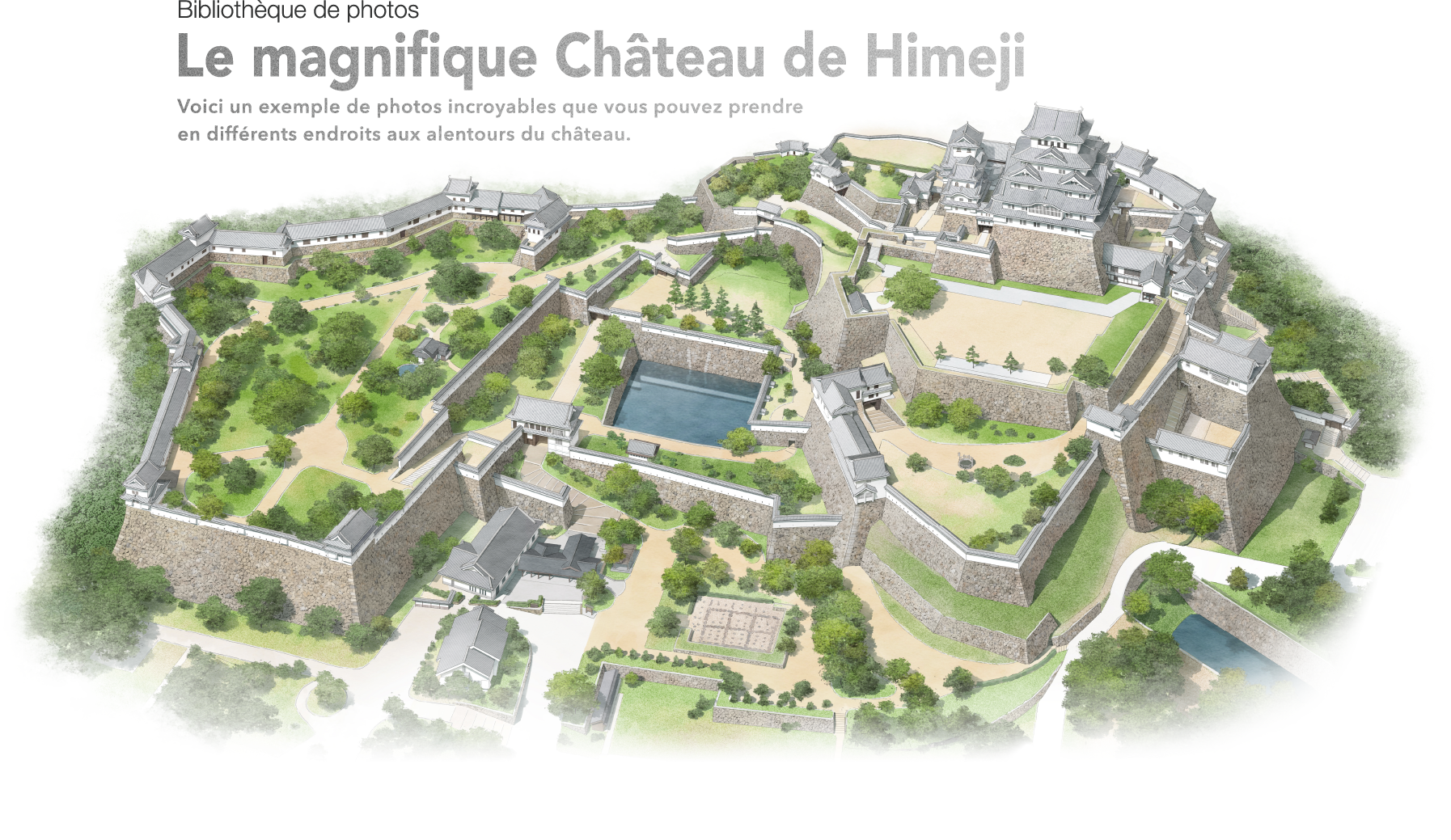 Bibliothèque de photos